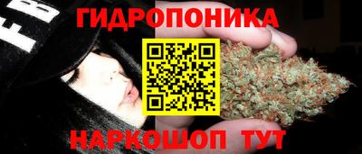 дмт Заводоуковск