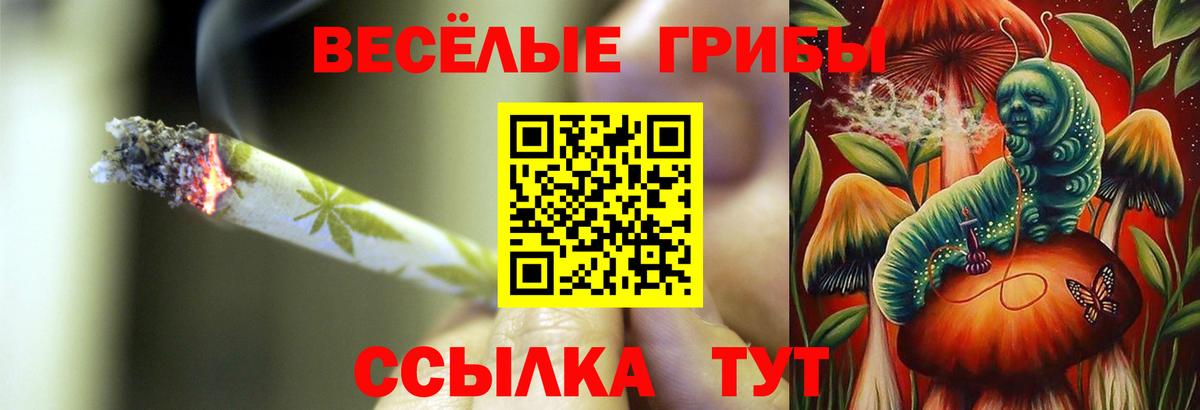 Майкоп  Галлюциногенные грибы мицелий  Вход с VPN 